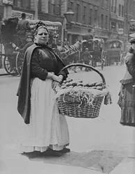 A Woman Potato Seller in London
